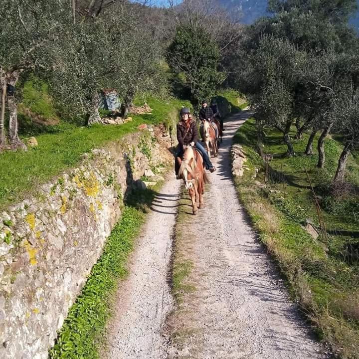 Villamorosa Calci Extérieur photo